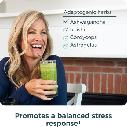 Ancient Nutrition Super Greens,Organic Superfood Powder with Probiotics 25 Servings - Nirvana Guru