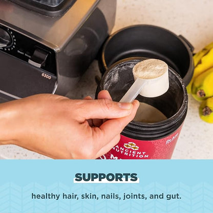 Ancient Nutrition Collagen Powder Protein,Brain Boost 45 Servings - Nirvana Guru