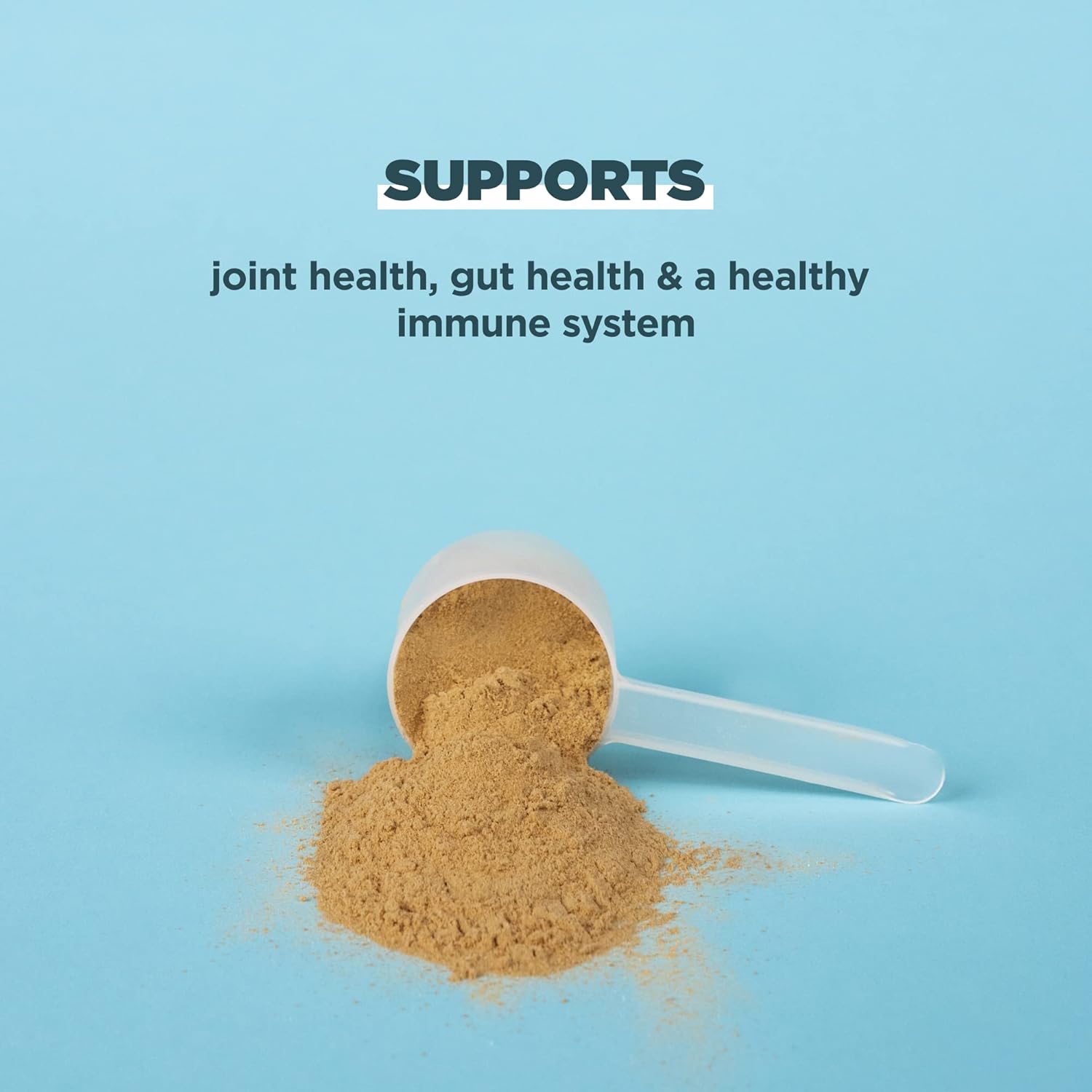 Ancient Nutrition Protein Powder with Real Bone Broth - Nirvana Guru